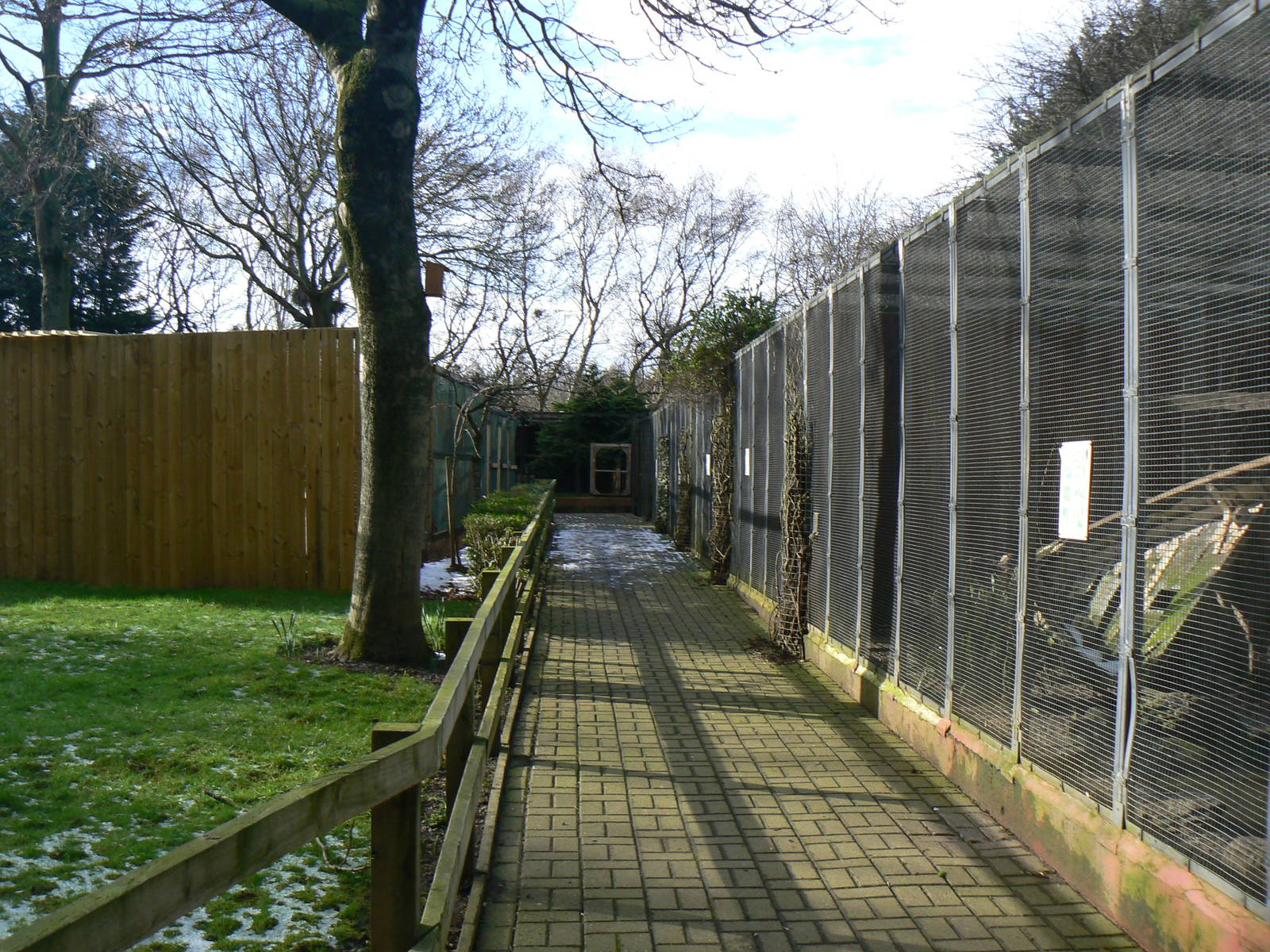 View of Aviaries - 16 February 2016, Kirkleatham Owl Centre