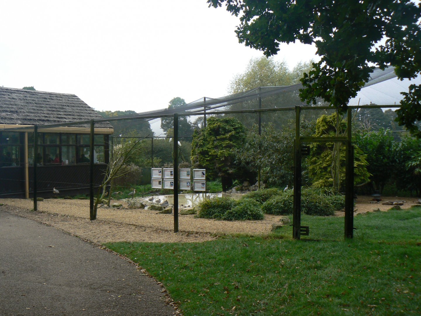 View of Aviary - 15 October 2016