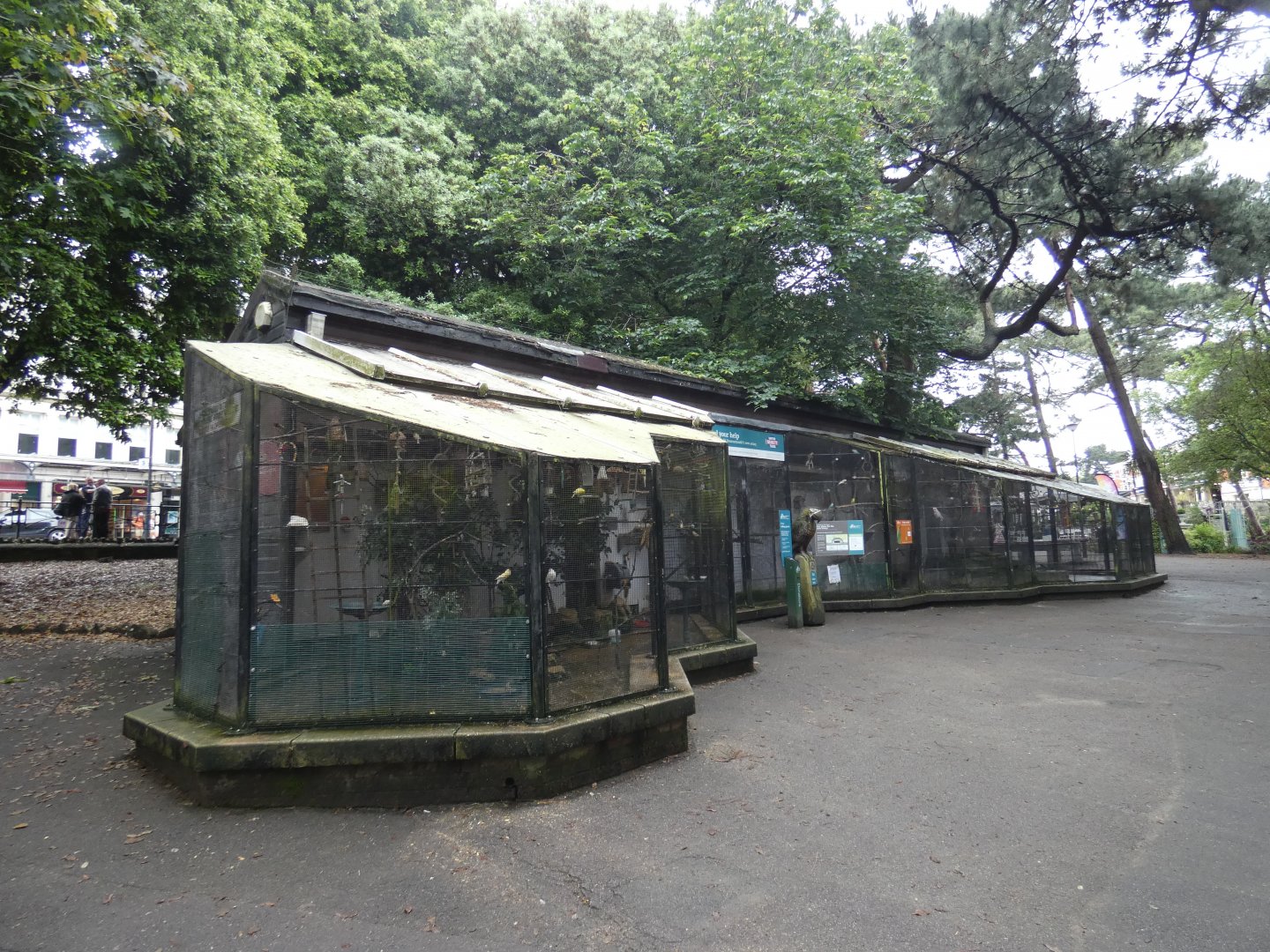 View of aviary (2)