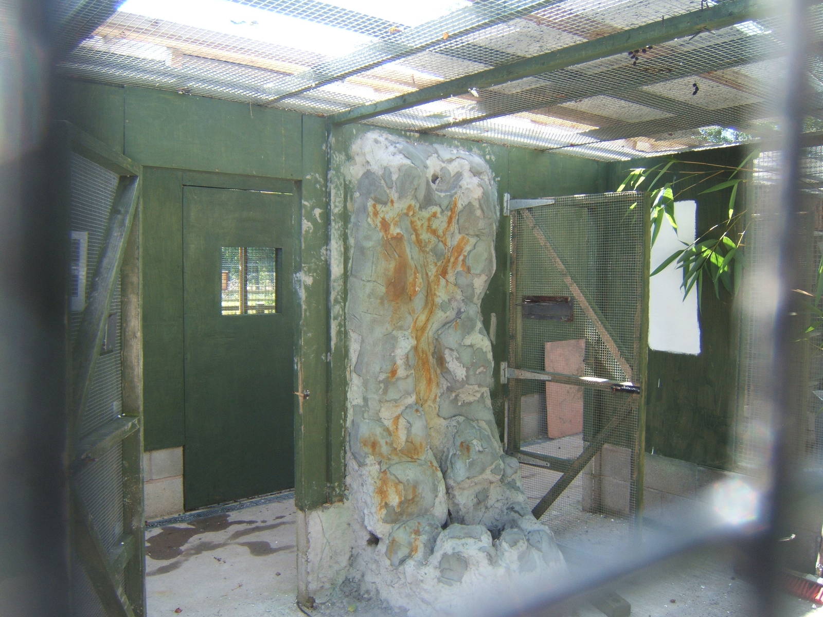 View of Aviary being refurbed