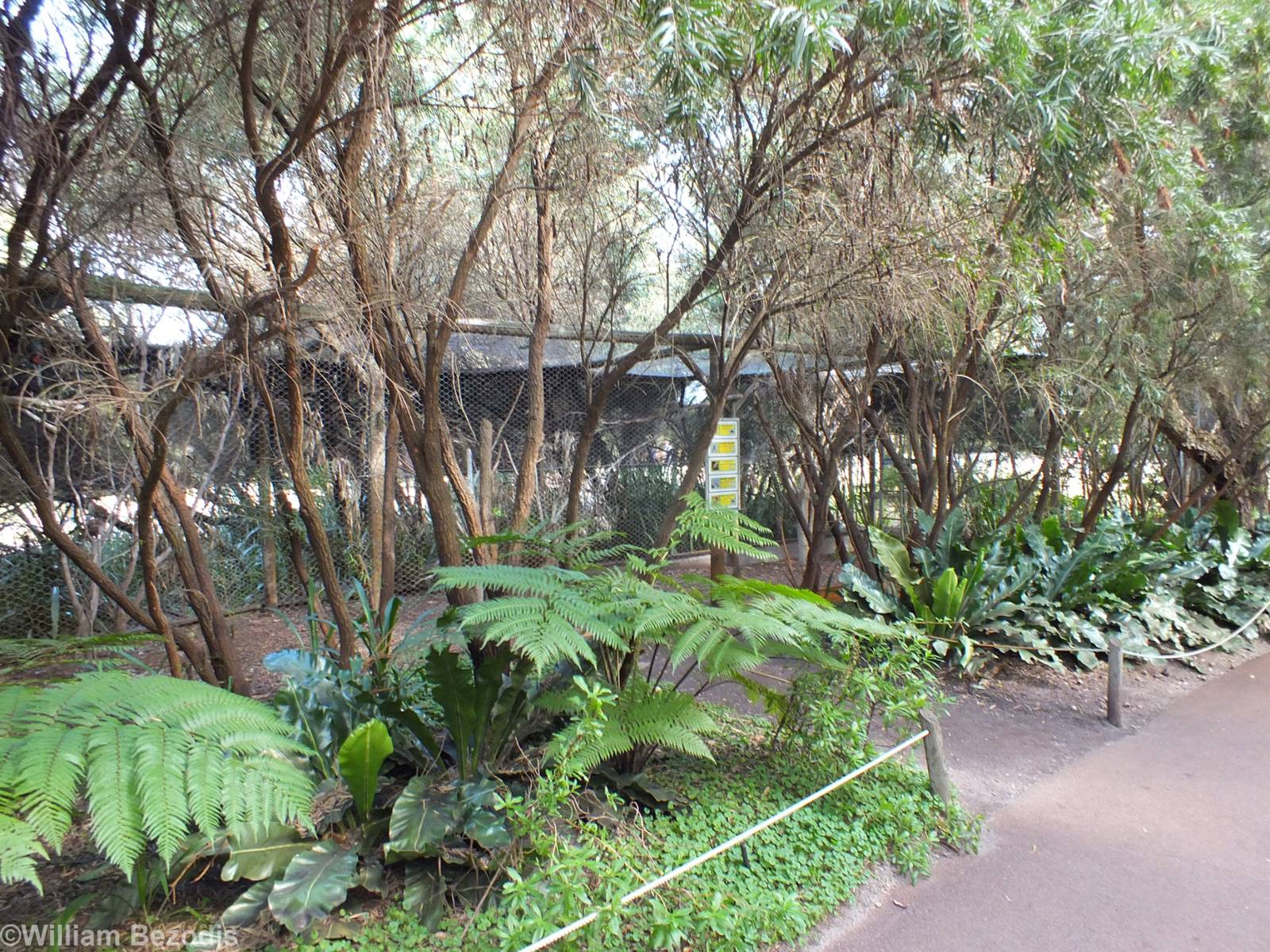 View of Aviary - Caversham Wildlife Park