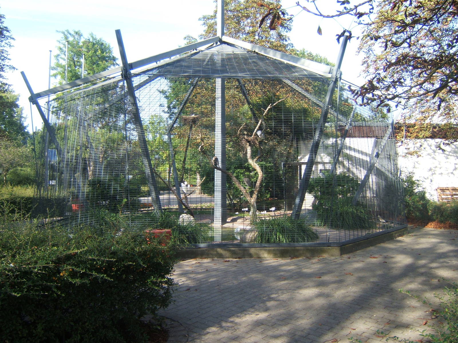 View of Aviary