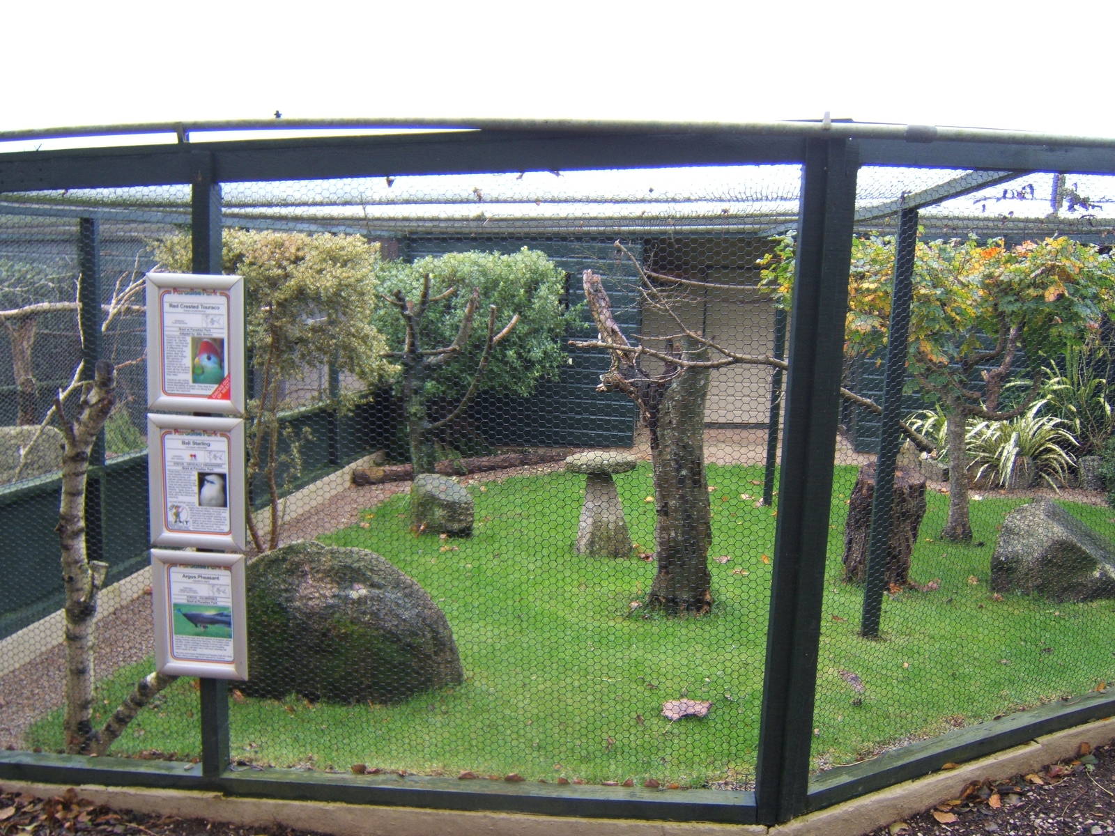 View of Aviary