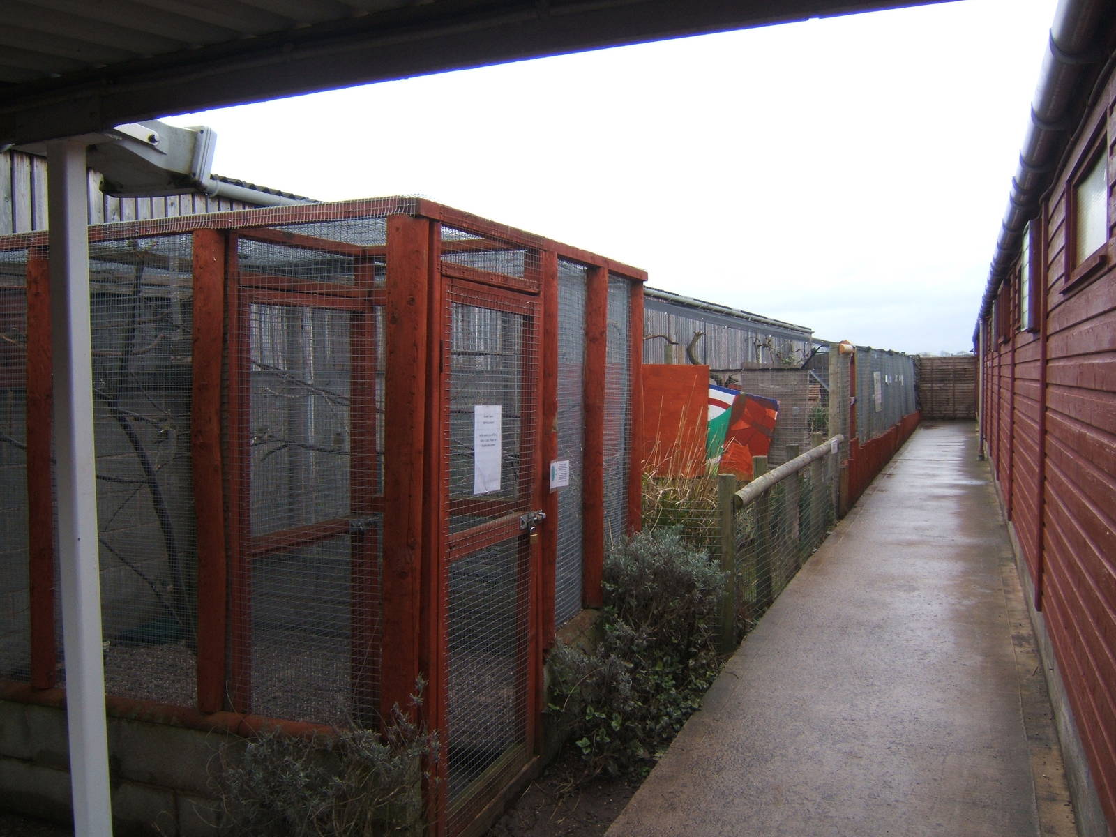 View of Aviarys and Slider exhibit