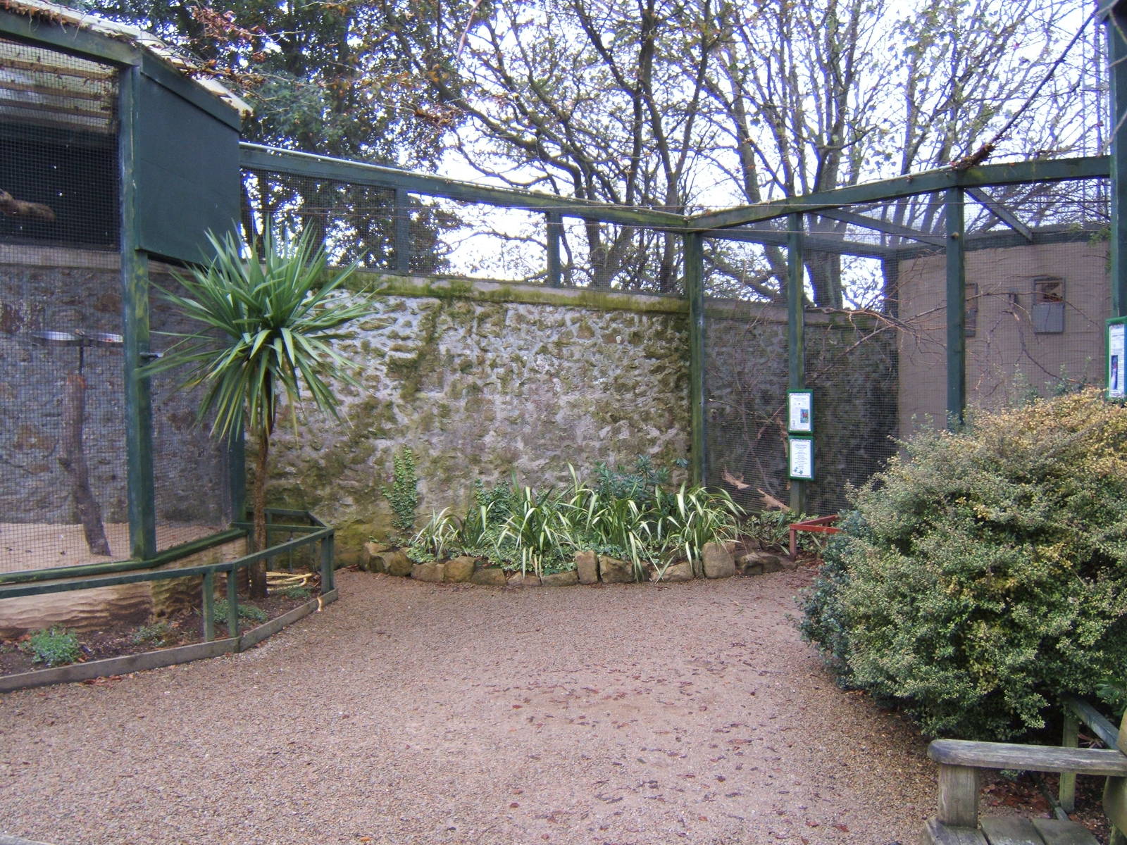 View of Aviarys inside walk-in Australian Aviarys