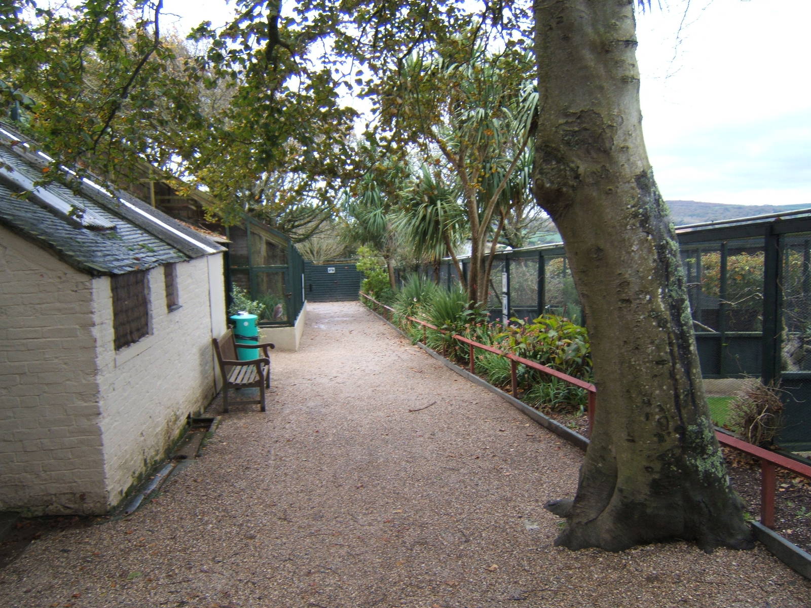 View of Aviarys outside the walled gardens