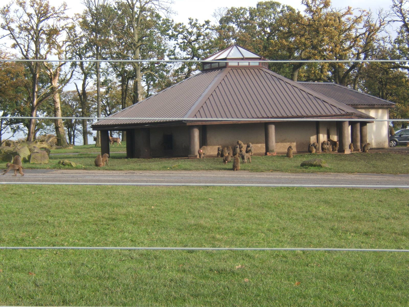 View of Baboon House