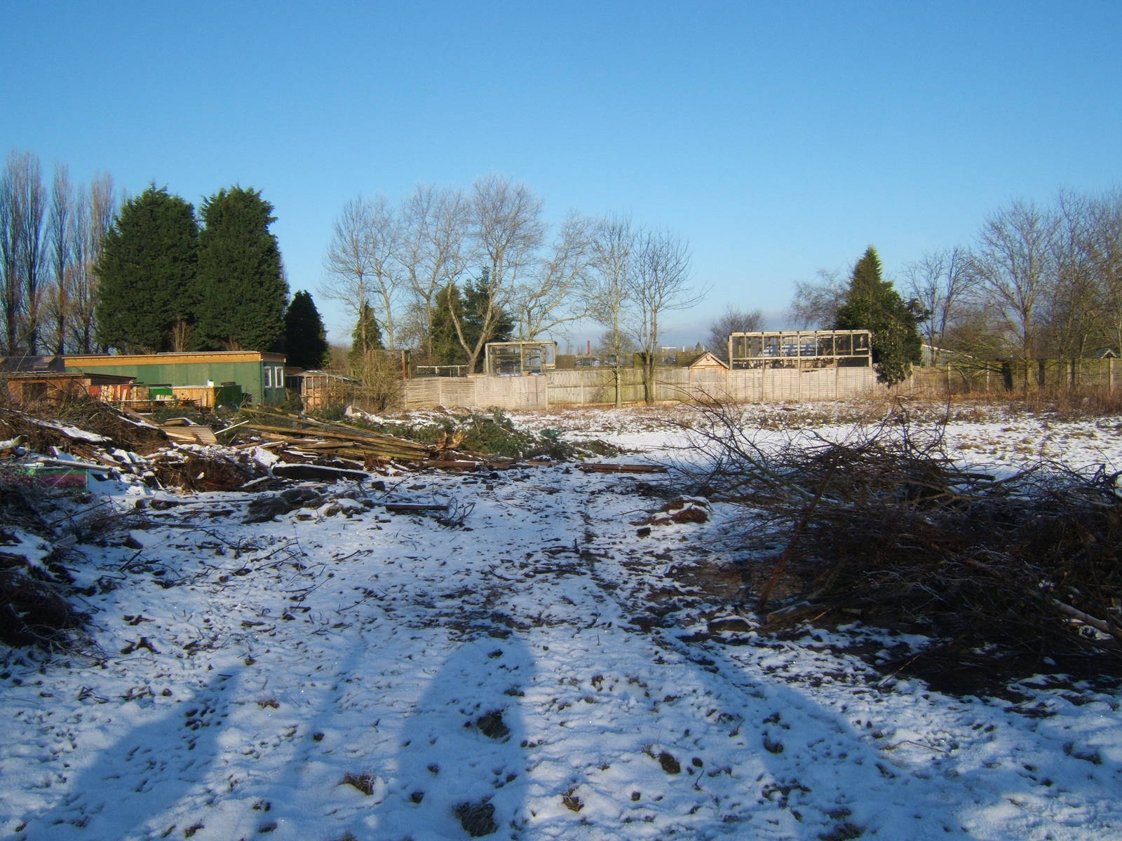 View of back of the site from the Paddocks