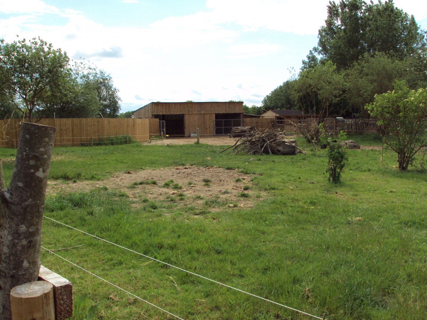 View of Bactrian Camel enclosure 29/05/2019
