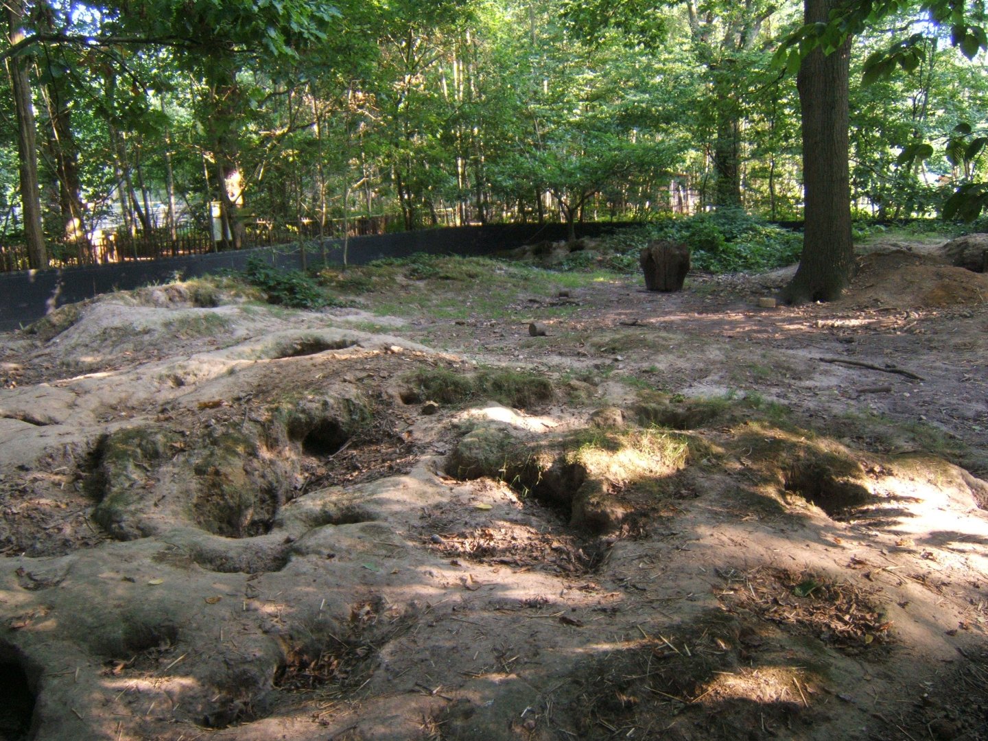 View of Badger enclosure 27/08/2017