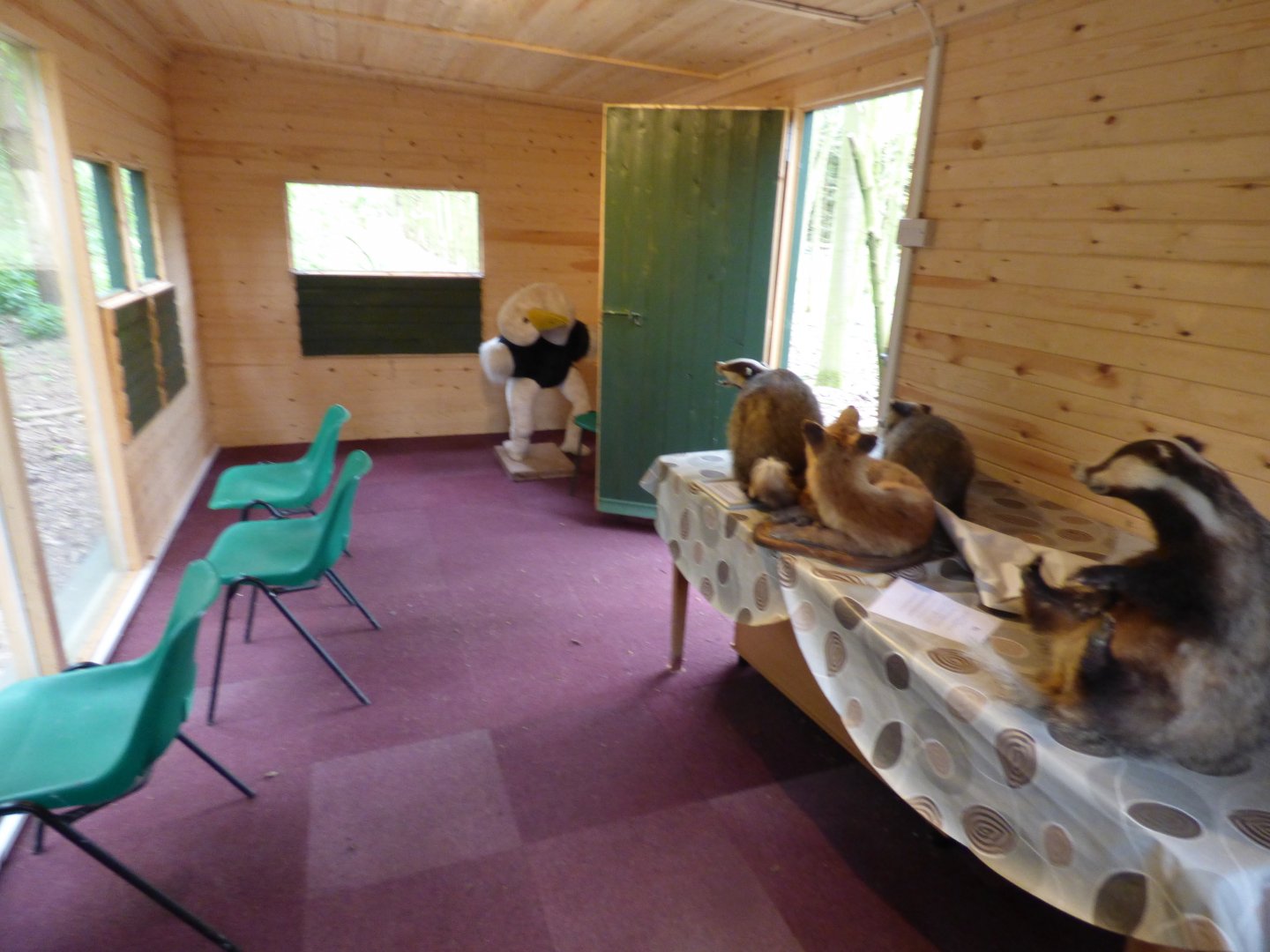 View of Badger Sett viewing area