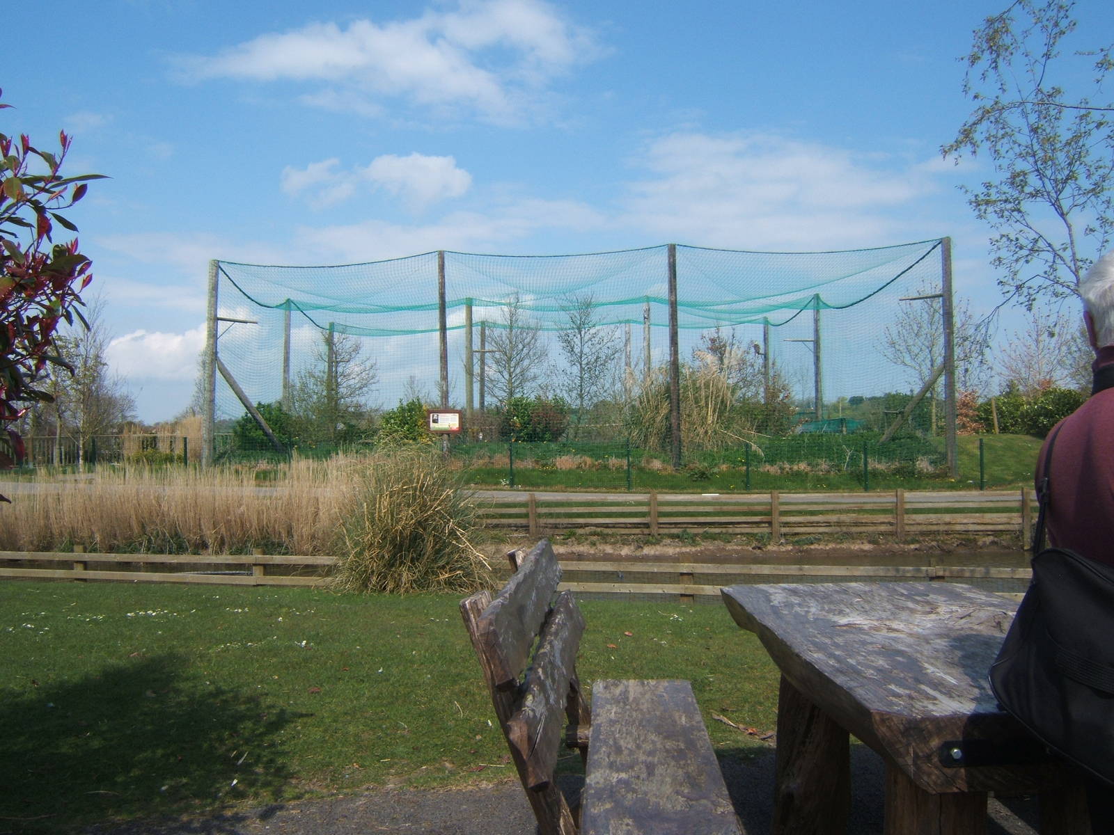 View of Bald Eagle Aviary