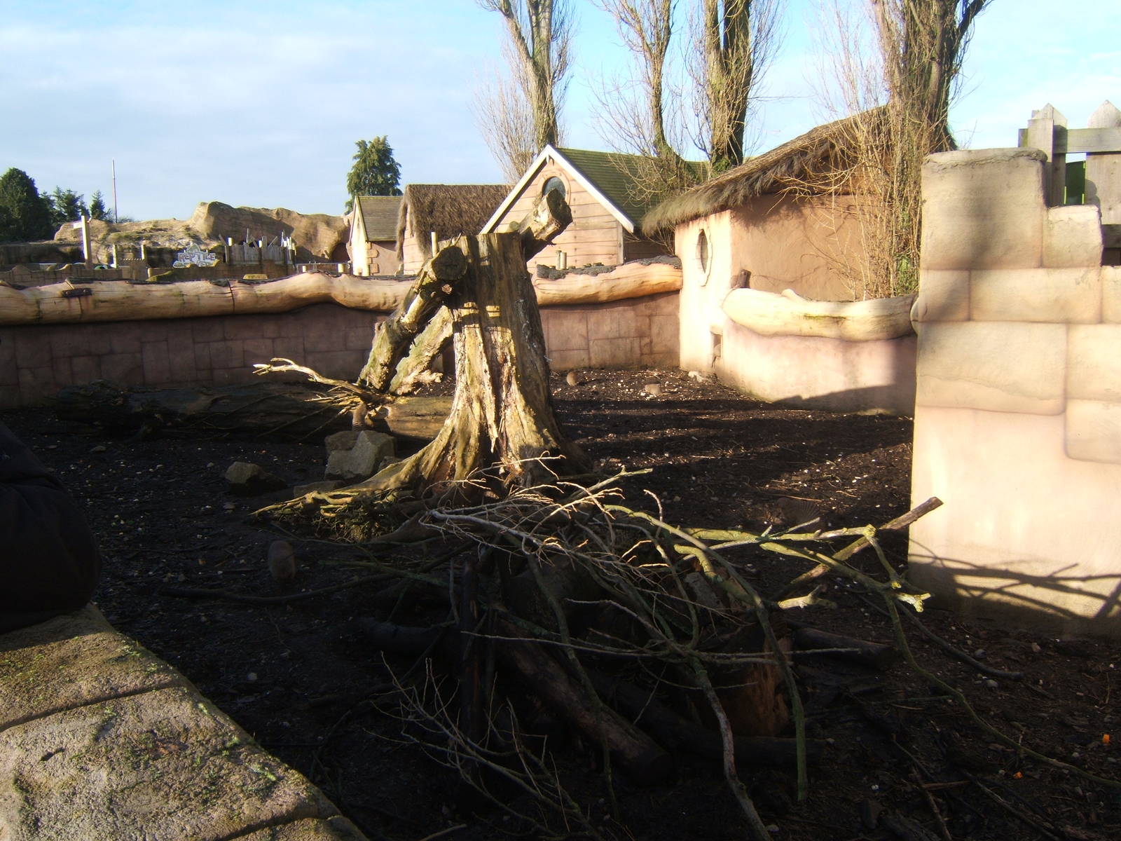View of Banded Mongoose exhibit