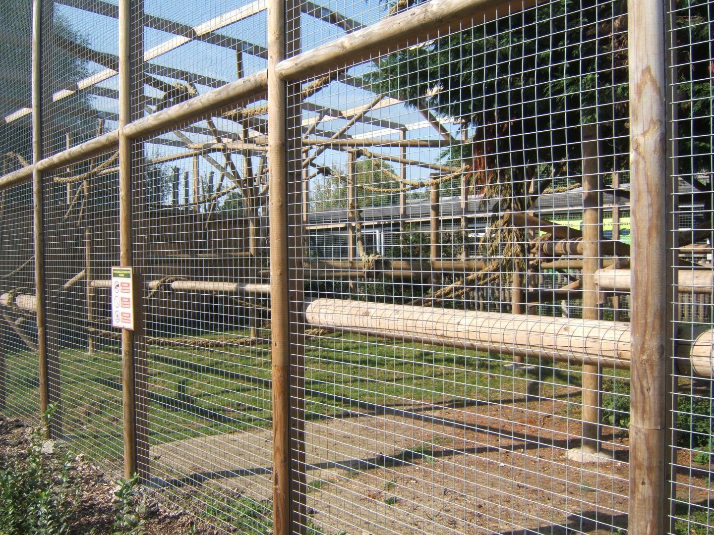 View of Barbary Macaque enclosure 27/08/2017