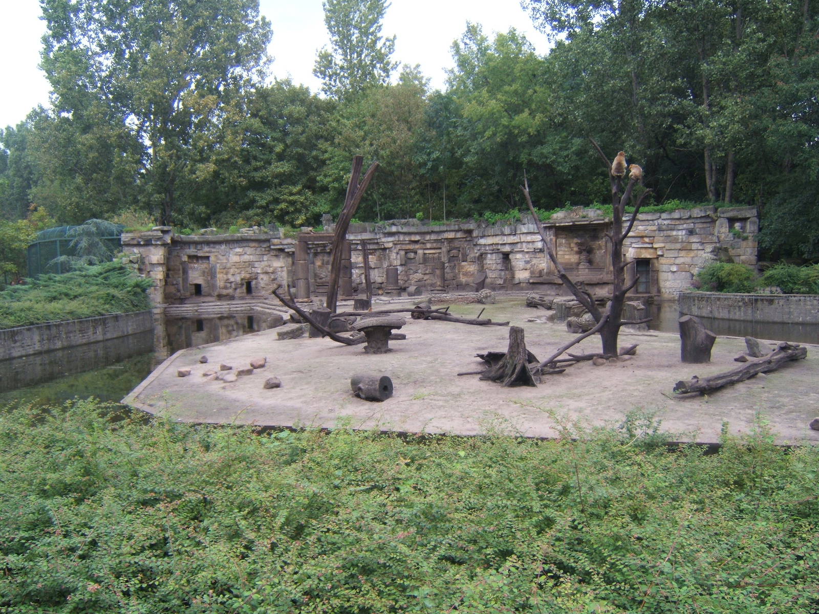 View of Barbary Macaque enclosure
