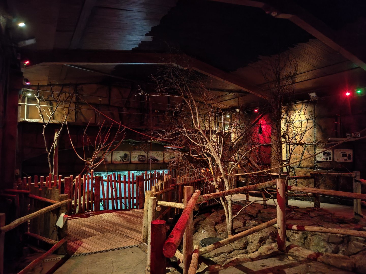 View of bat walk-through