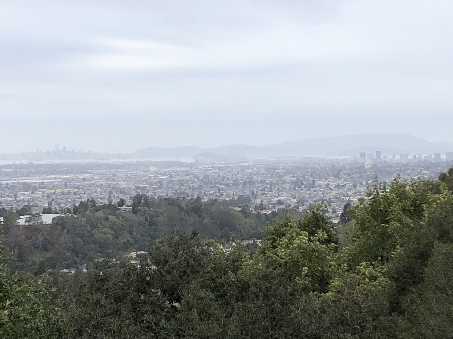 View of Bay Area from California Trail