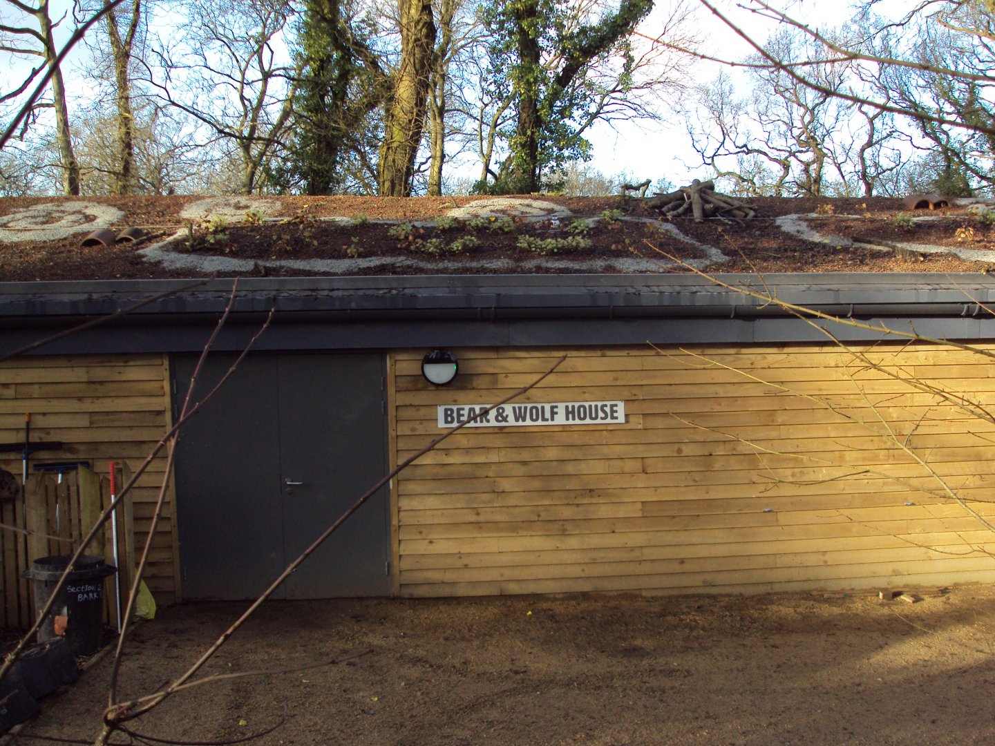 View of Bear and Wolf House 03/01/2020