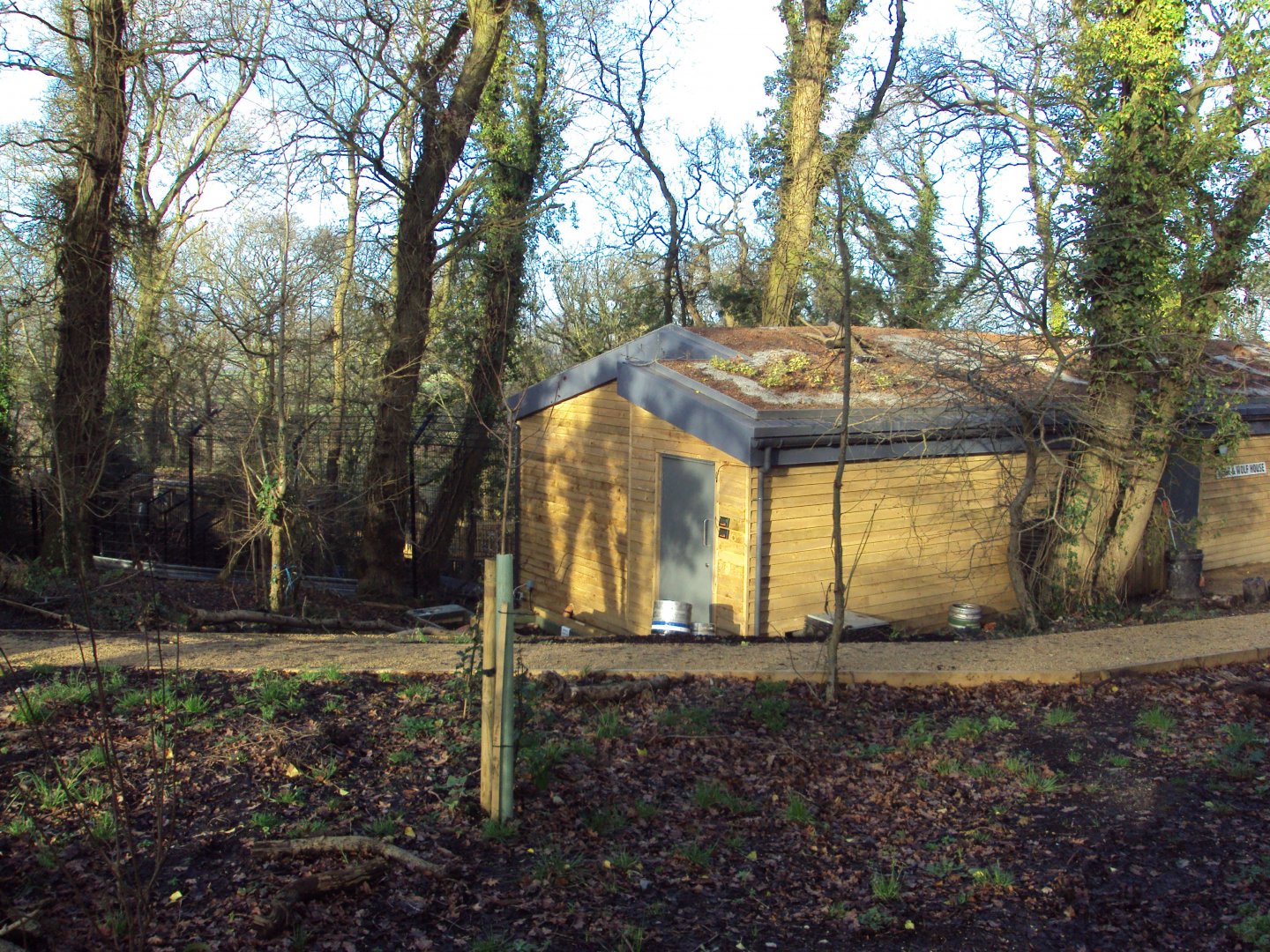 View of Bear and Wolf House 03/01/2020