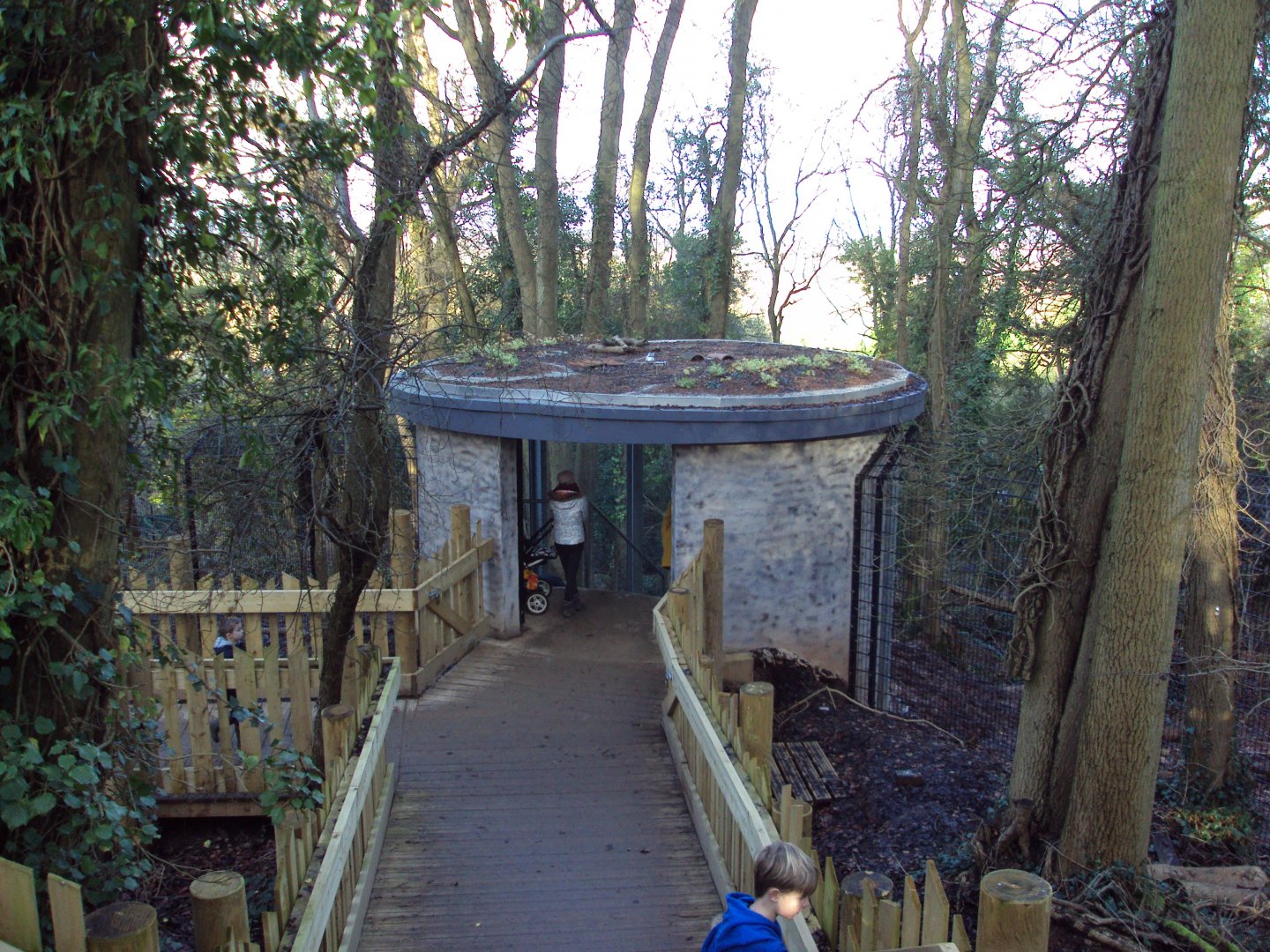View of Bear and Wolf viewing shelter 03/01/2020