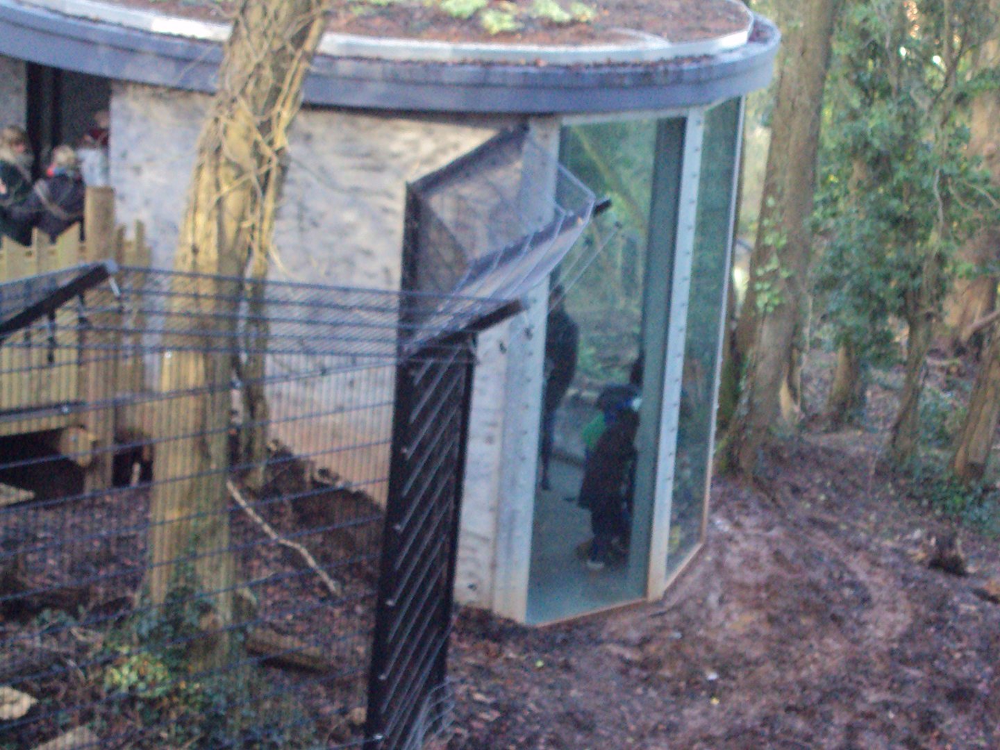 View of Bear and Wolf viewing shelter 03/01/2020