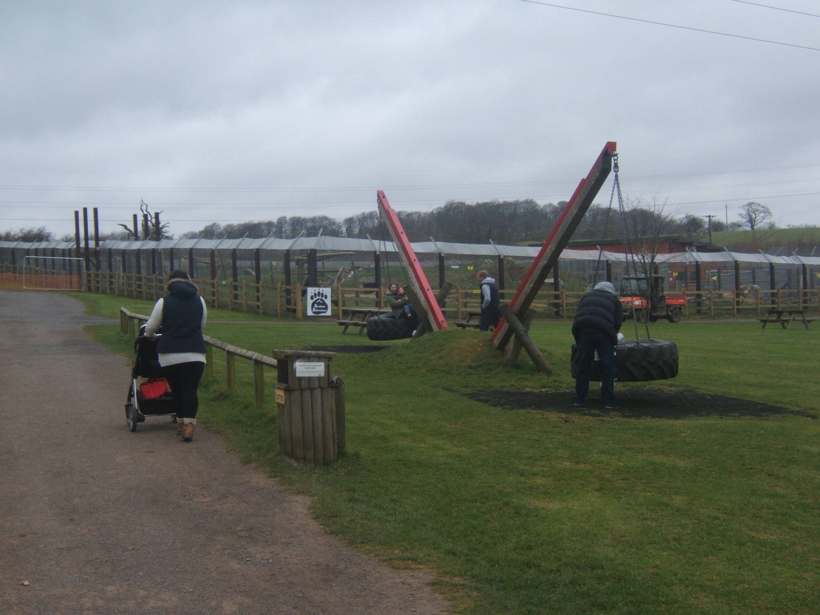 View of Bear enclosure