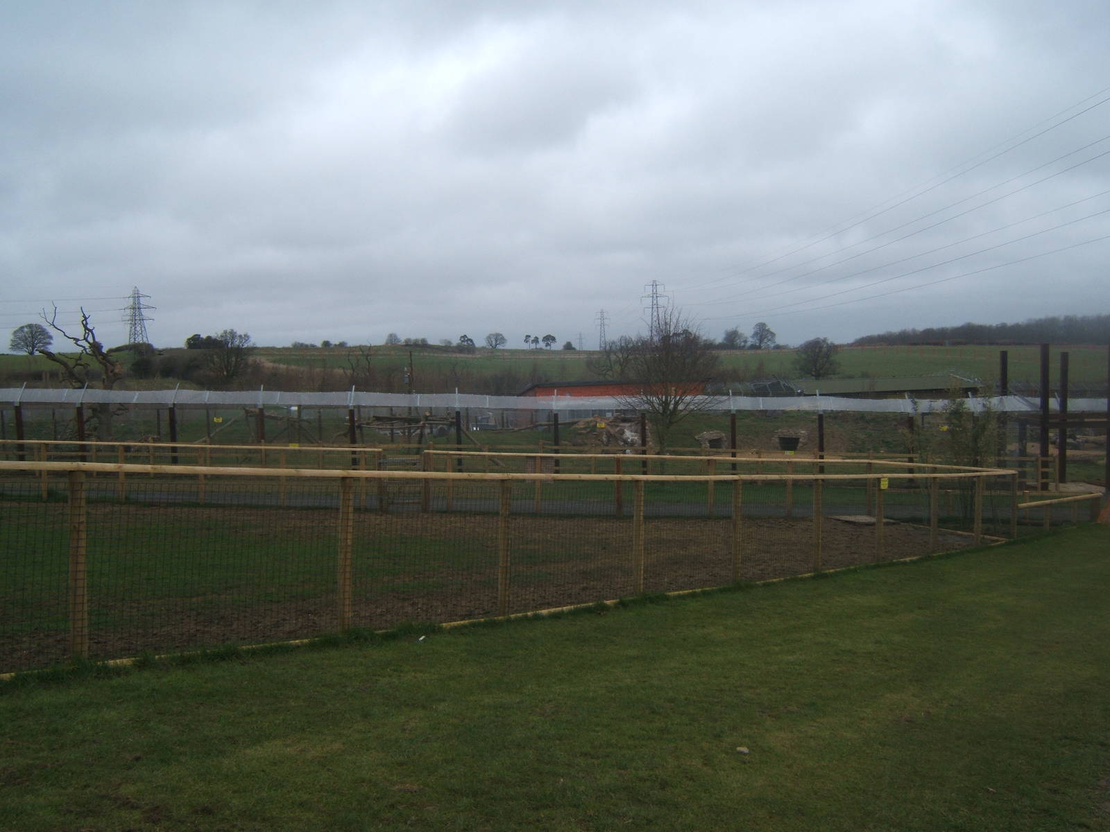 View of Bear enclosure