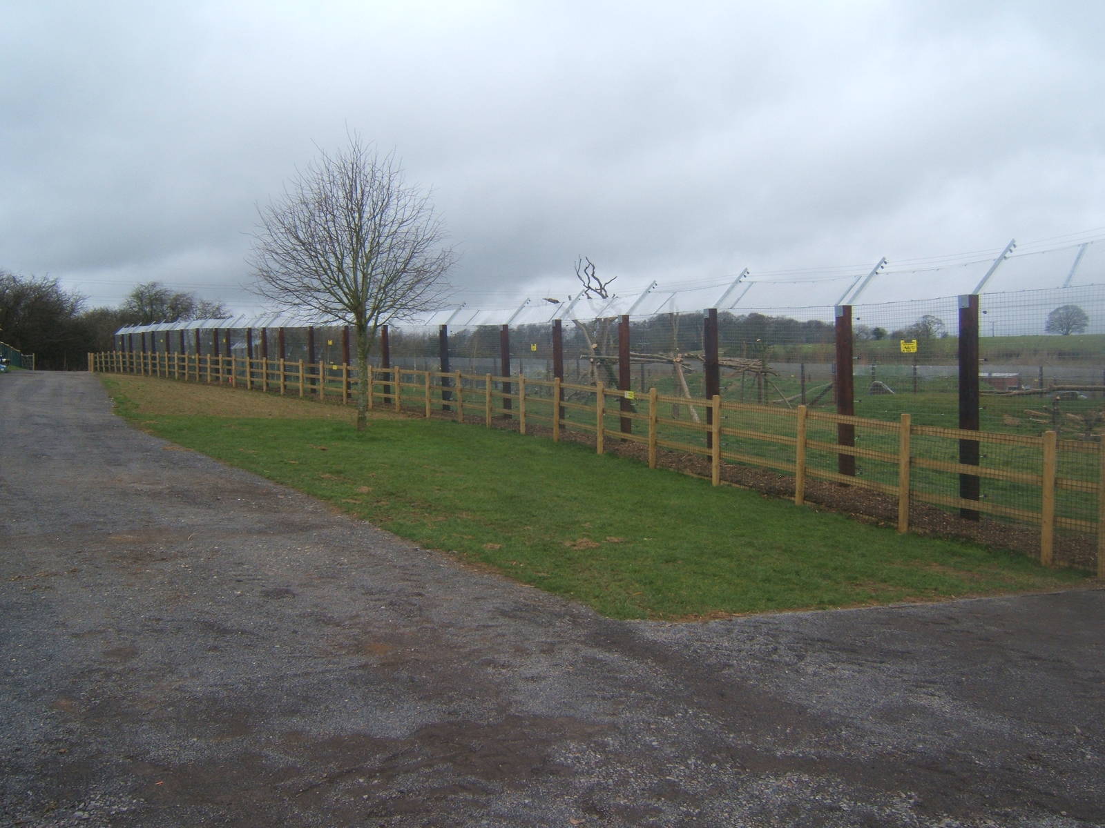View of Bear enclosure