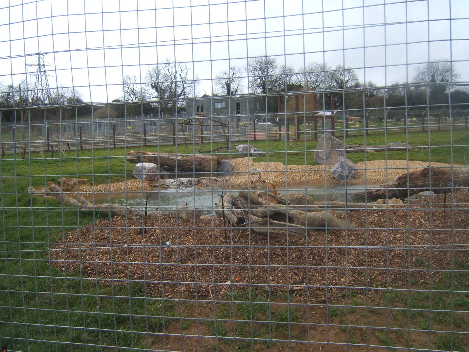 View of Bear enclosure