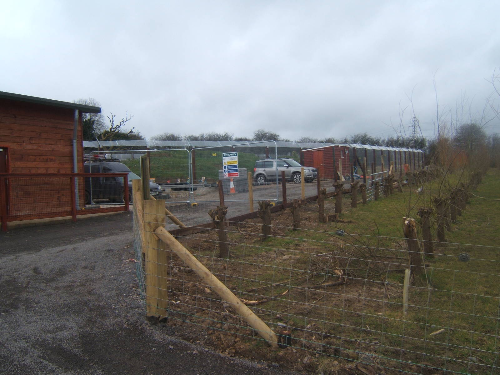 View of Bear enclosure