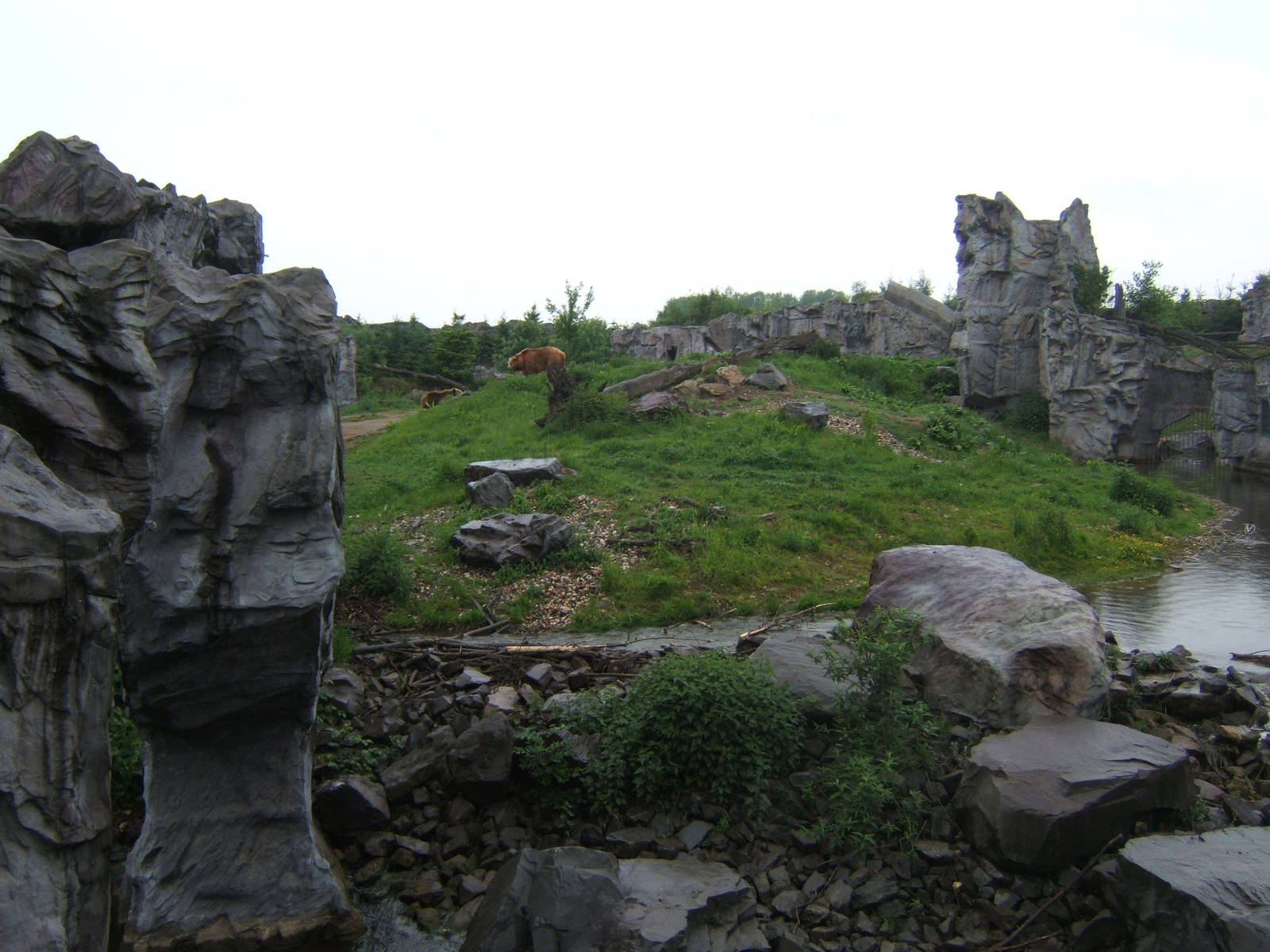 View Of Bear exhibit