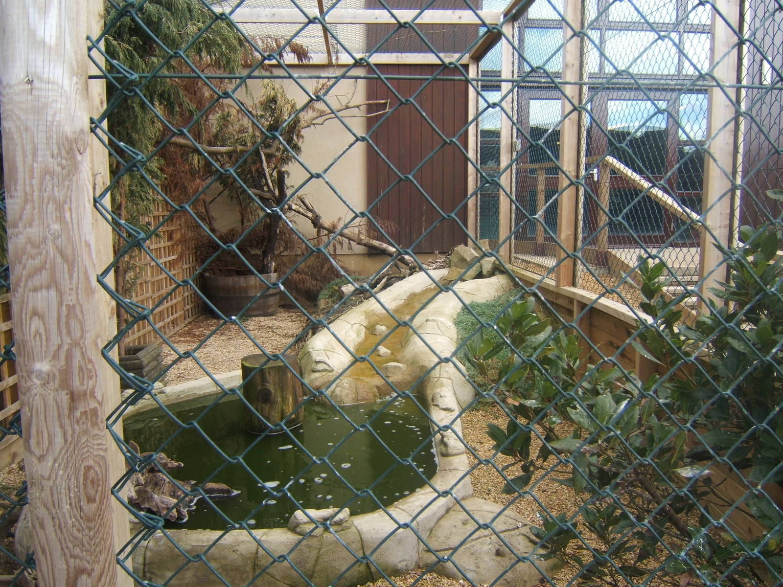 View of Bengal Eagle Owl aviary
