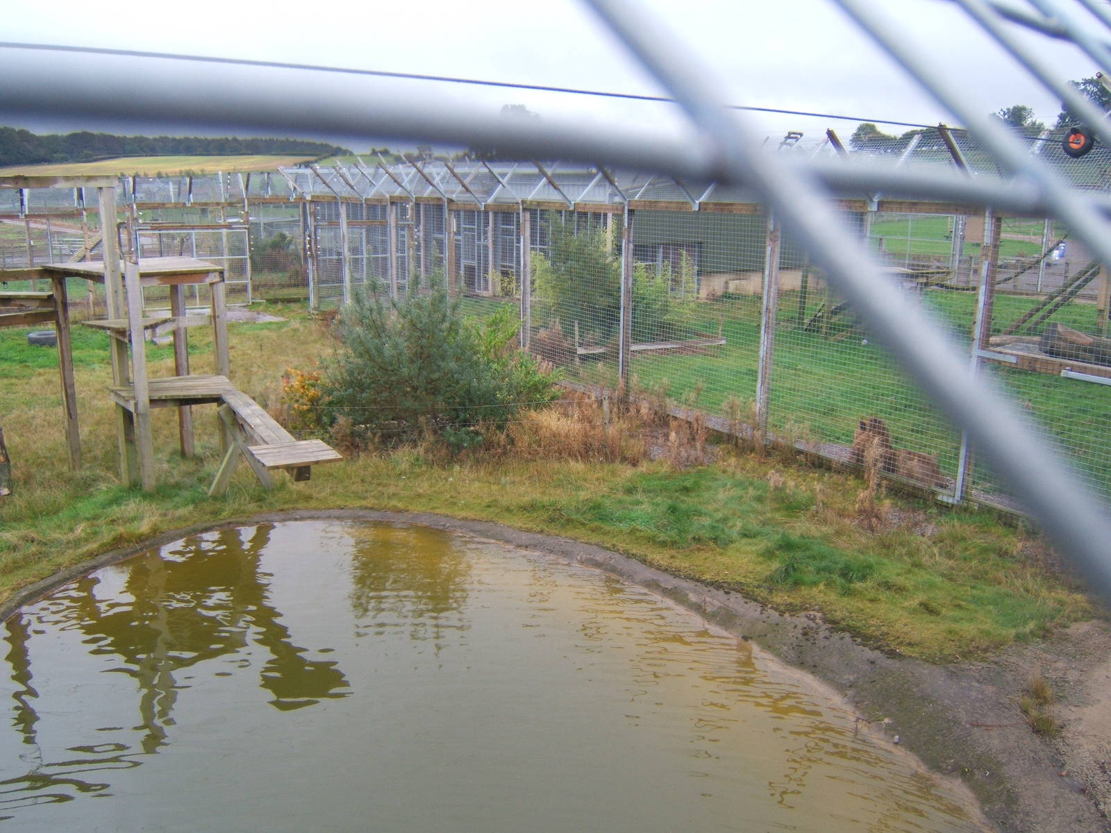 View of Big Cat enclosures