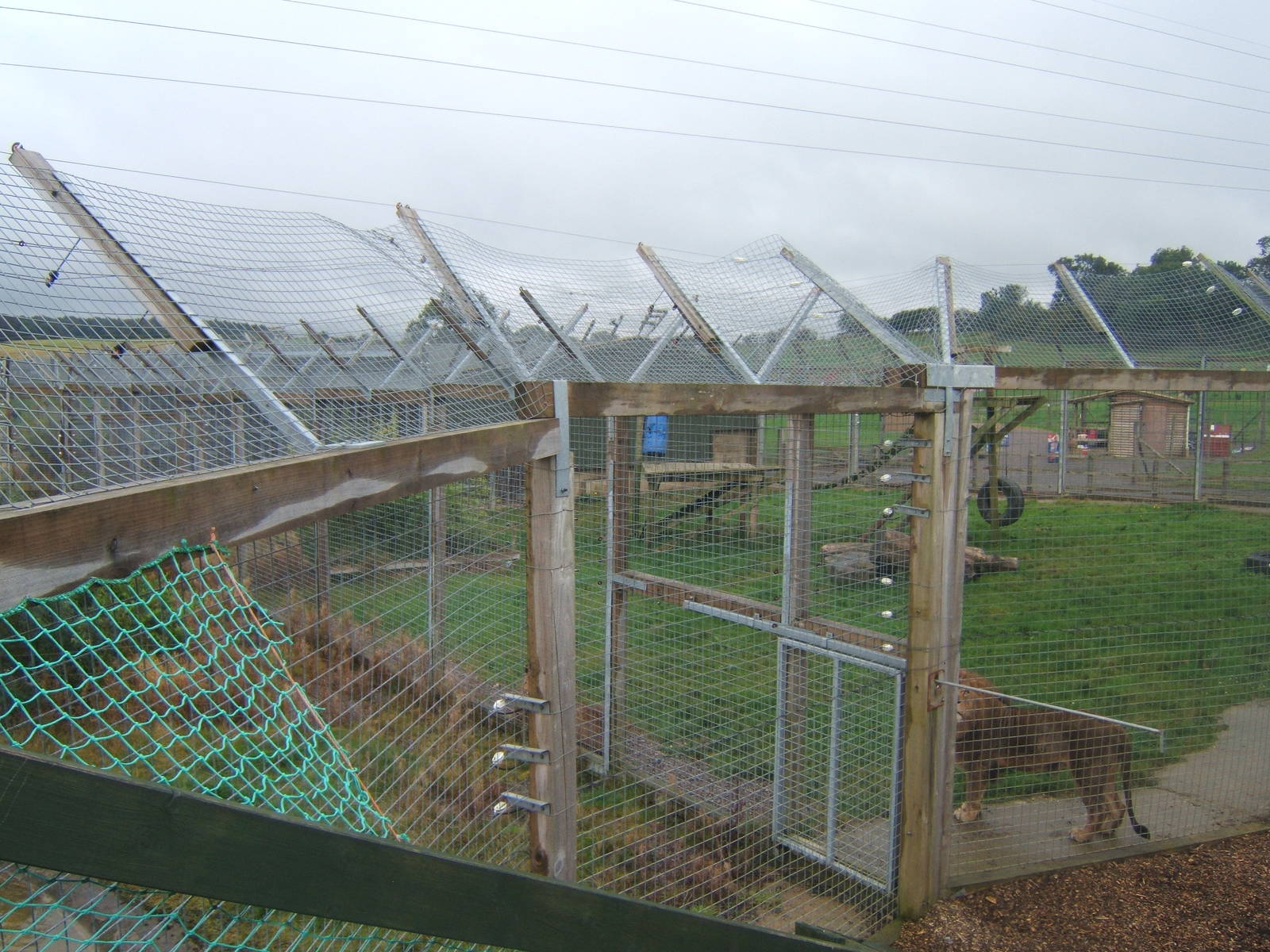 View of Big Cat enclosures