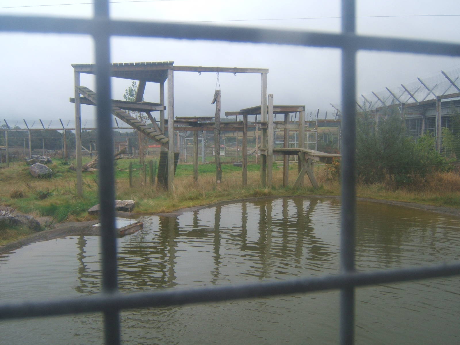 View of Big Cat enclosures