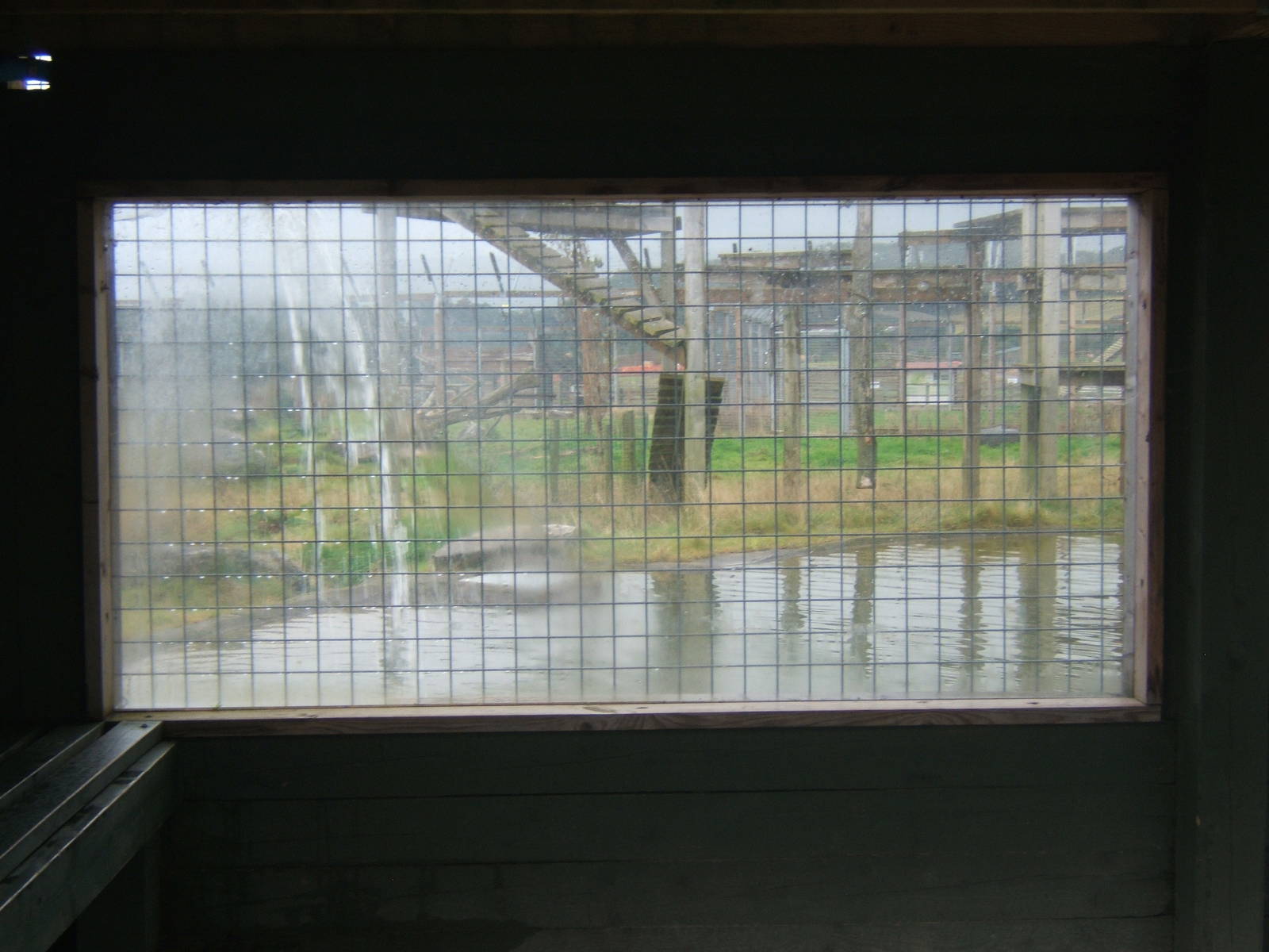 View of Big Cat enclosures