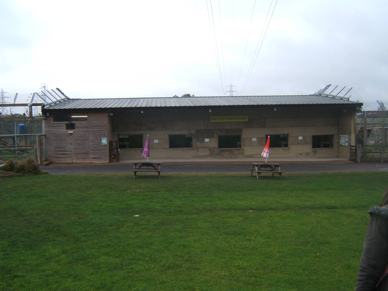 View of Big Cat House