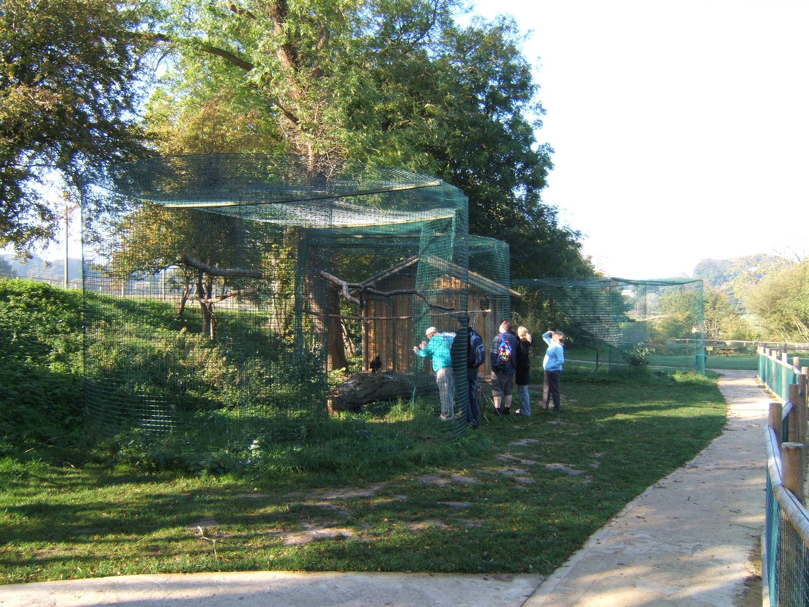 View of Bird Aviarys