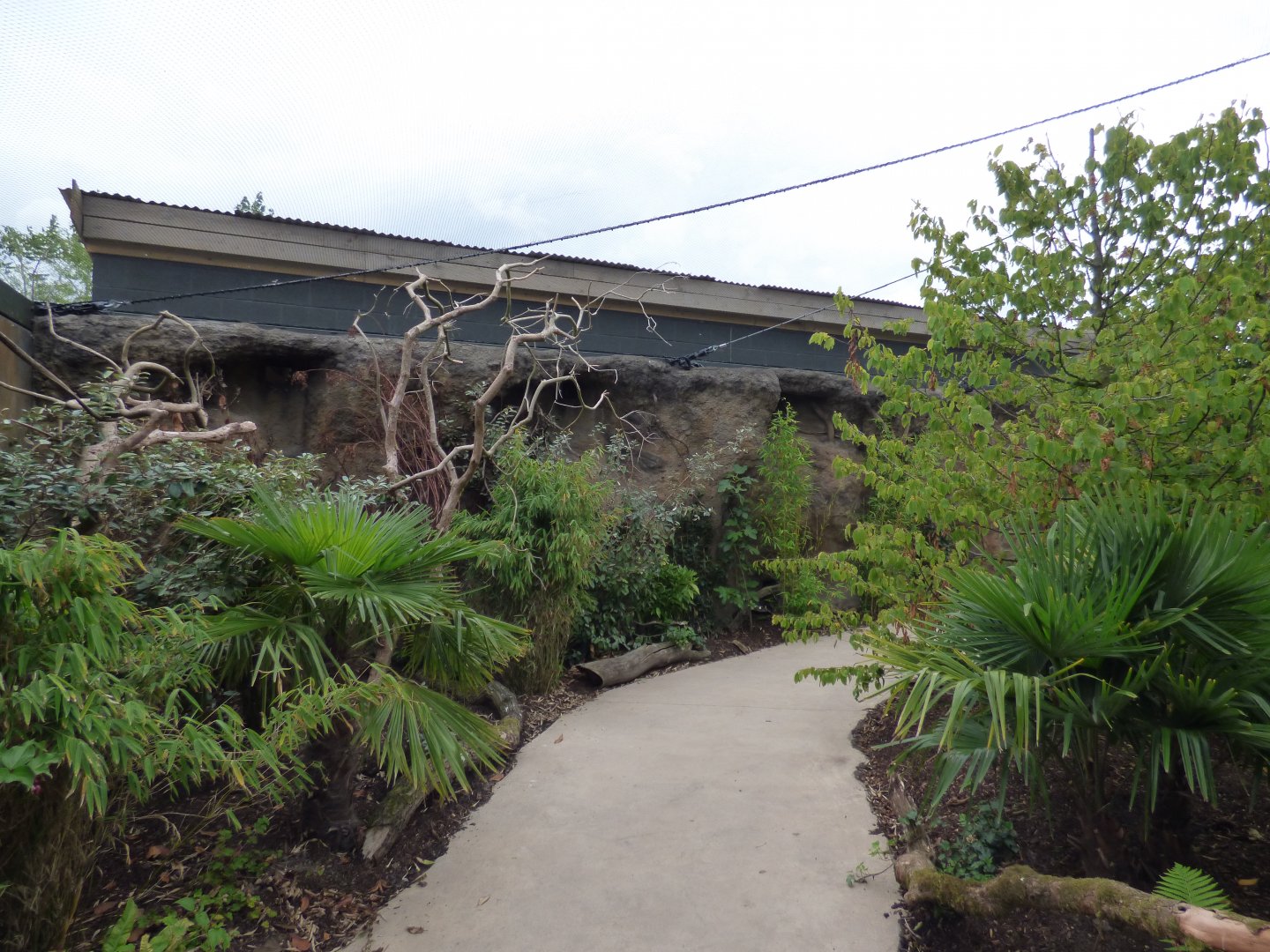 View of bird house in new aviary