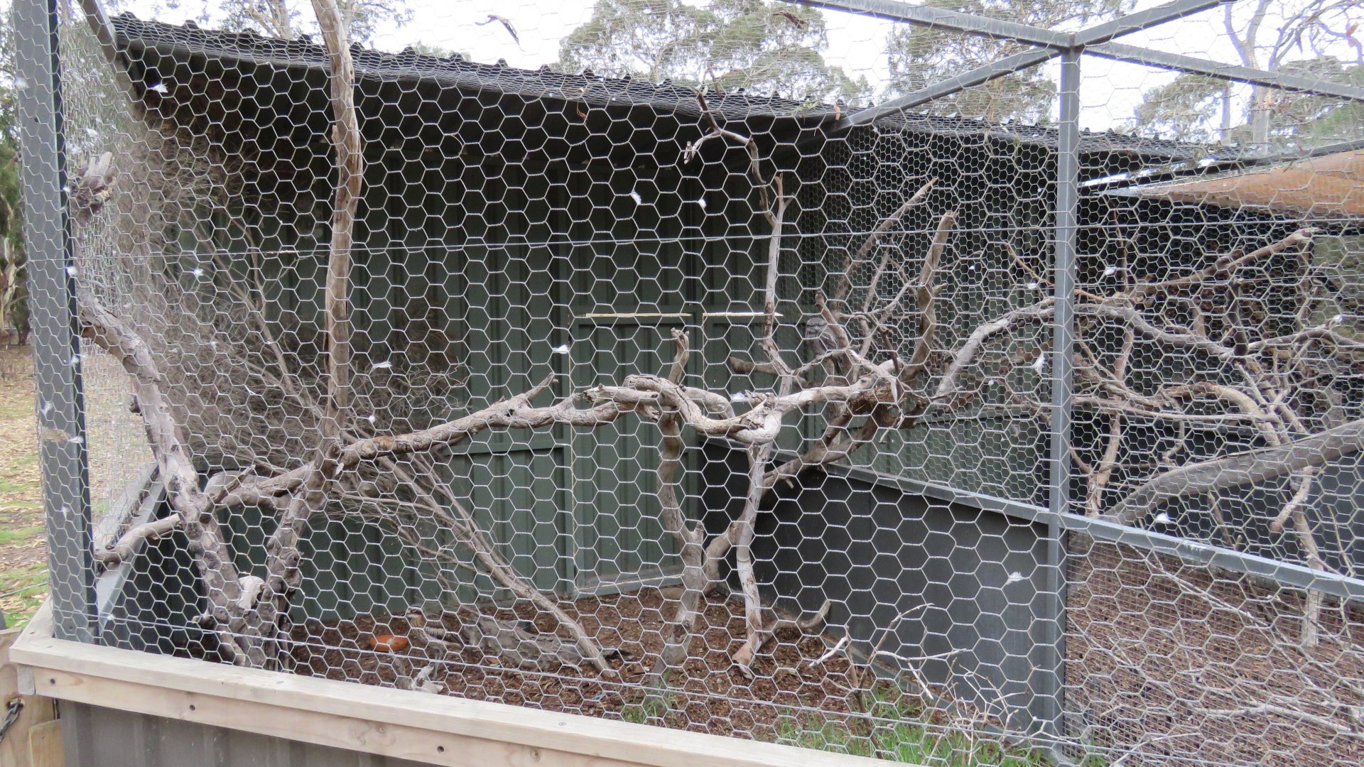 View of Bird of Prey Aviaries