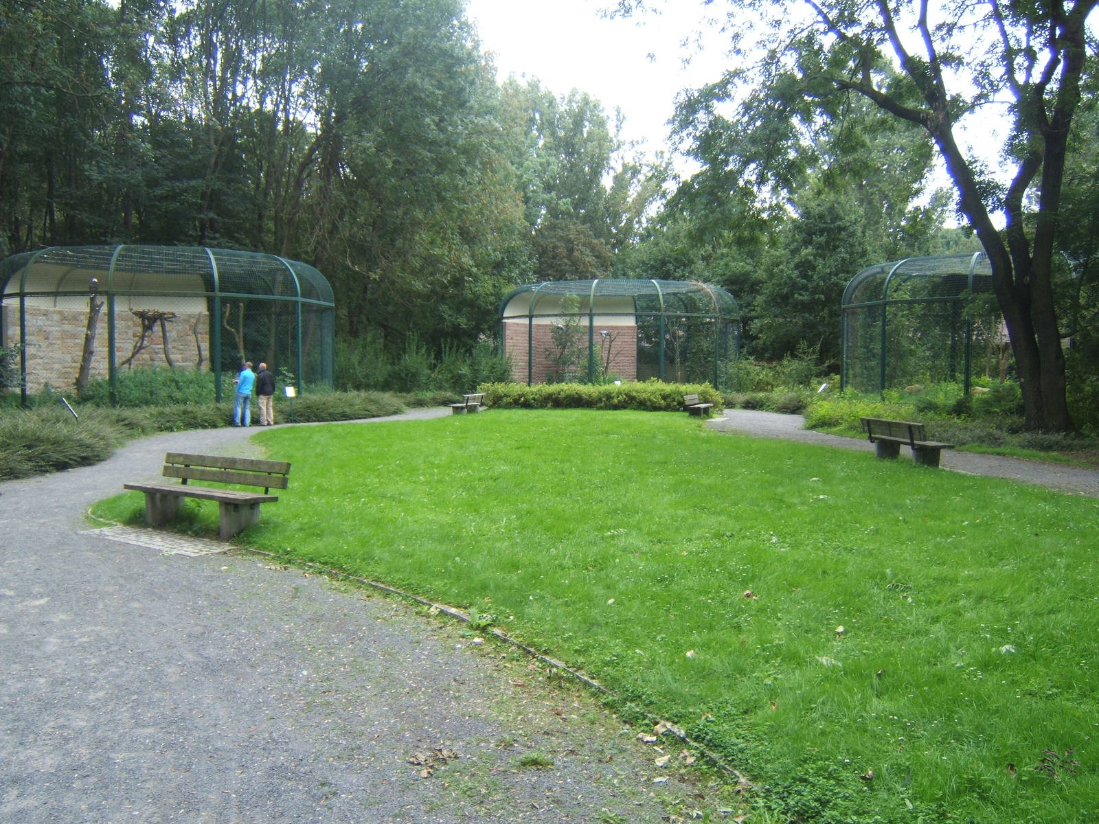 View of Bird of Prey Aviarys