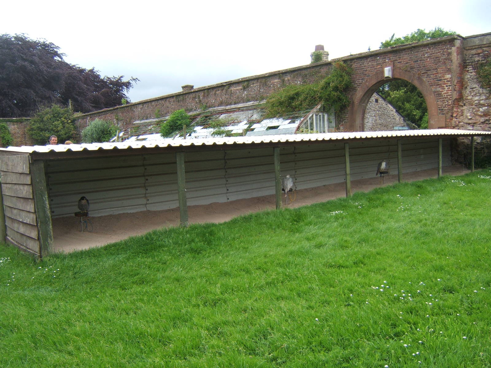 View of Bird of Prey Mews