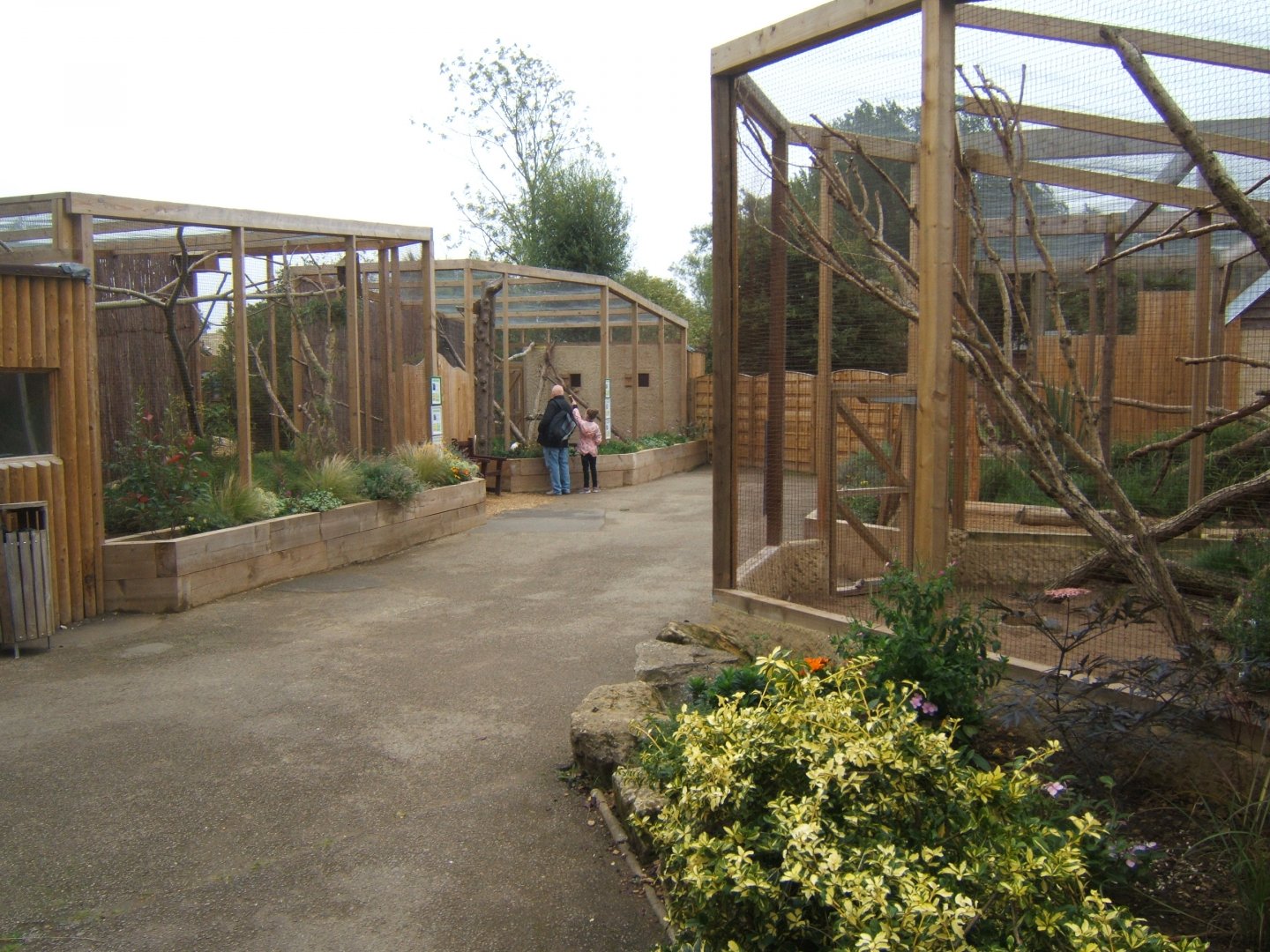 View of Birds of Africa 10/09/2017