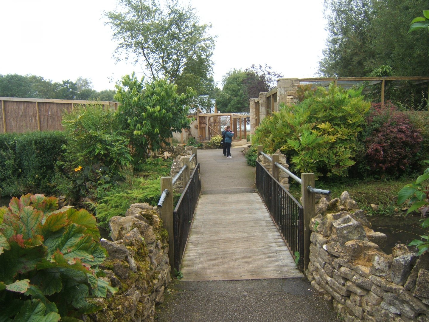 View of Birds of Africa 10/09/2017