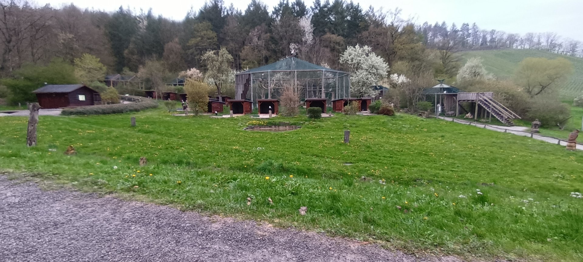 View of Birds of Prey Aviarys