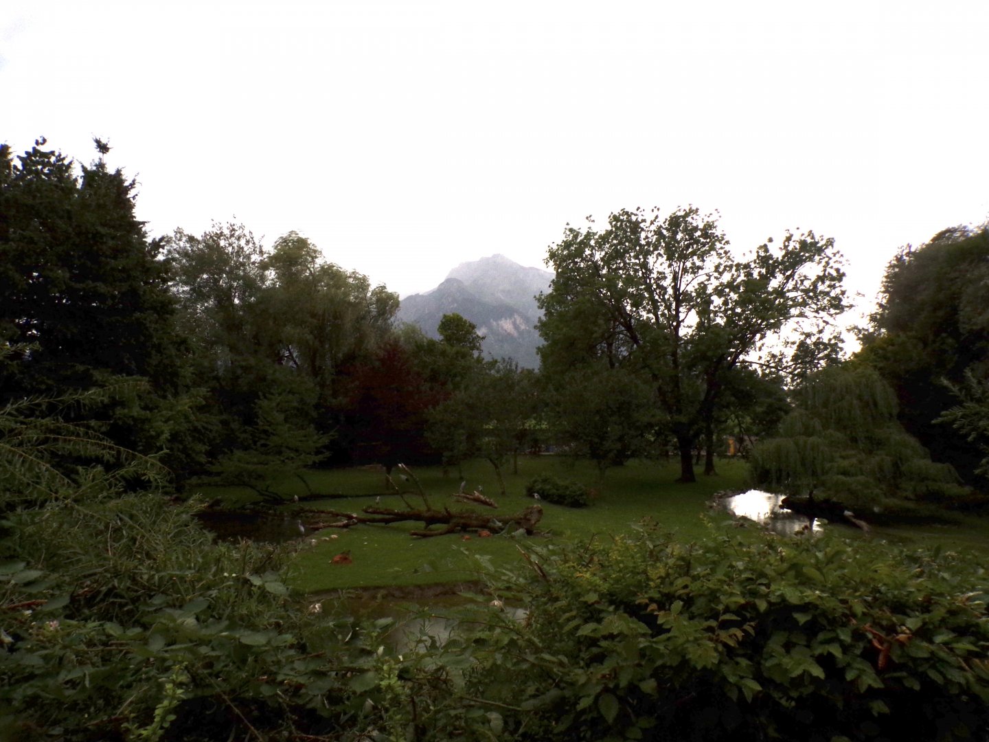 View of Birds Park enclosure and view 13.7.25