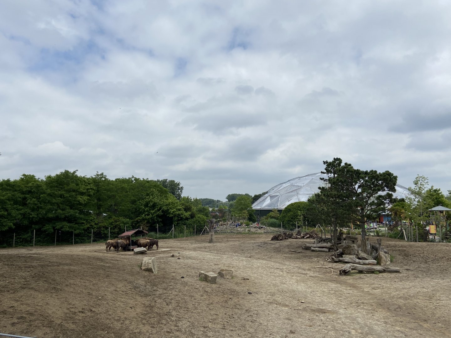 View of bison paddock from new path