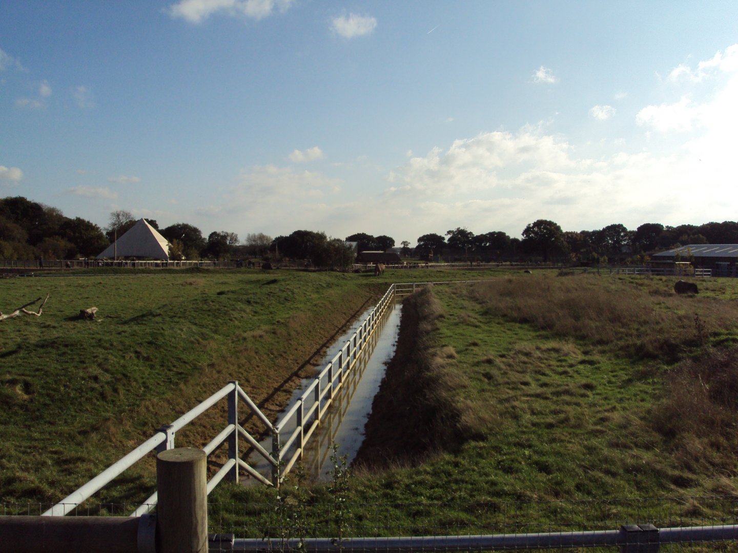 View of Black Rhino paddocks 30/10/2019