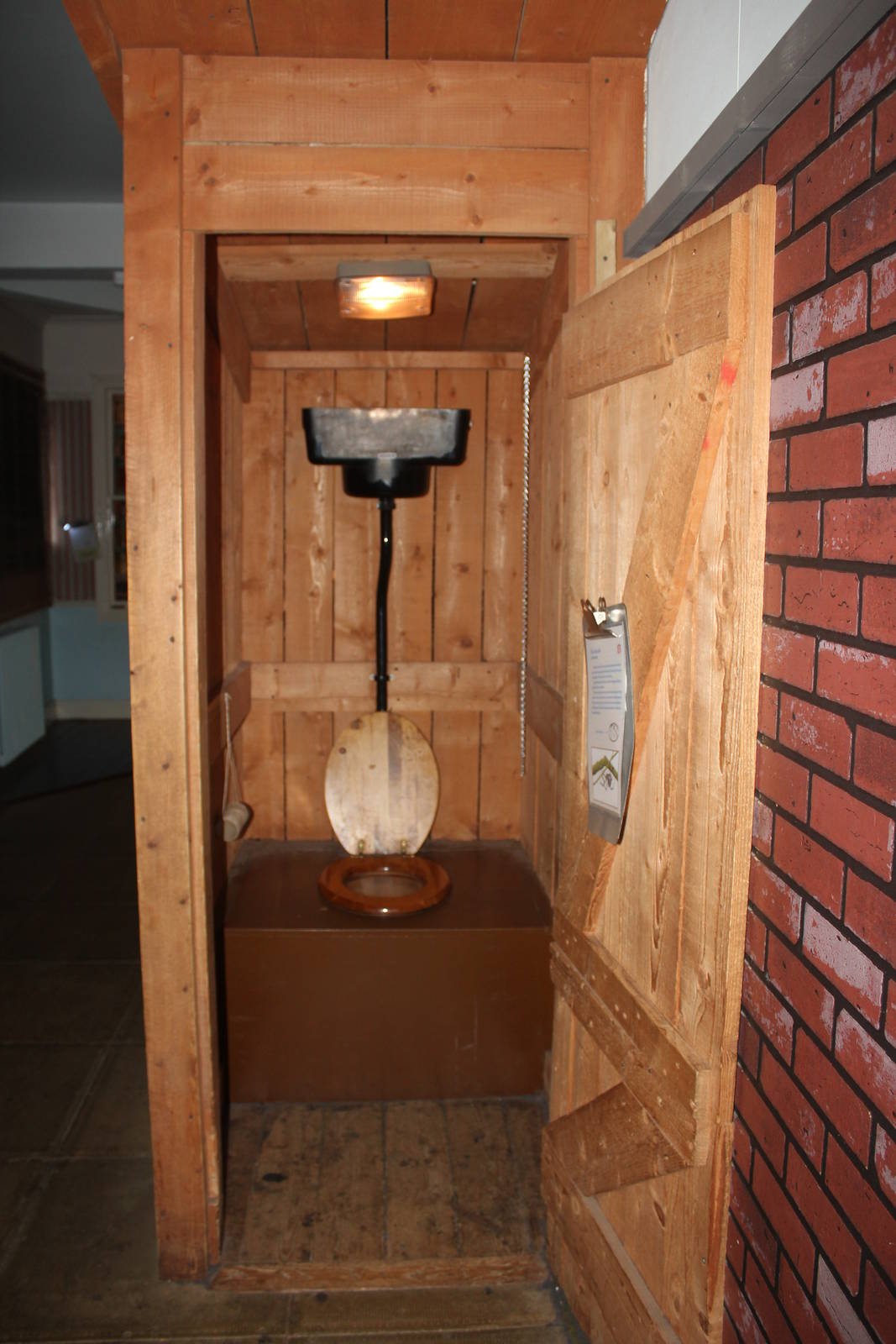 View of black widor spider exhibit