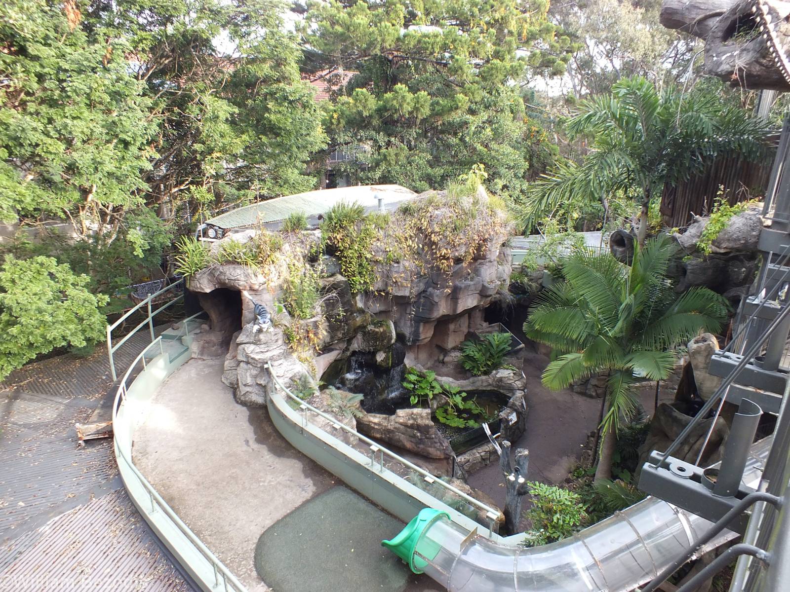 View of 'Blinky Bill's Home Tree'